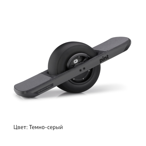 Одноколесный гироскутер. Onewheel Pint